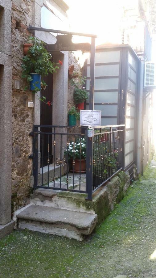 Il Vico Leilighet Serra San Bruno Eksteriør bilde